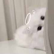 🦷