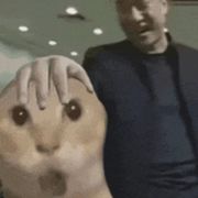 无敌咸鱼大王