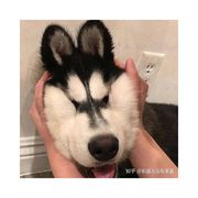 到点归西