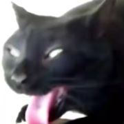 柴门闻犬吠风雪夜归人