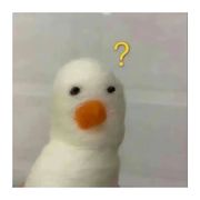 哈哈哈哈