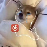 梁其伟