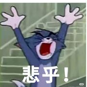 猫猫鱼