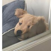 喜欢就讲嘛