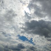 城南花以开 愿君安常在