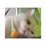 花城雨旧梦殇
