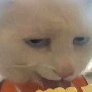 韬奋男孩