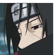 dear带土✿
