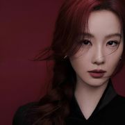 努力当一条咸鱼的猫