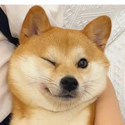 老铁