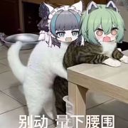临渊鱼丶