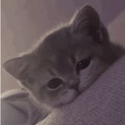 豆芽