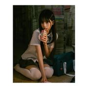 一只纯纯的小萌新