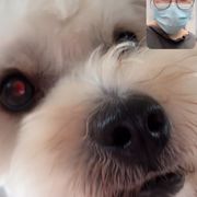 李甜宰