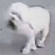 闲人爱吃盐