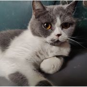 枫叶红时总多离别~