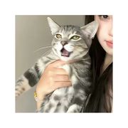 花酒间