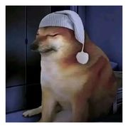 伊鹤