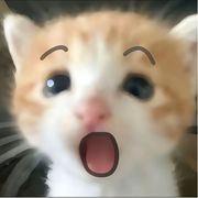 不想
