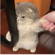 闲地无聊