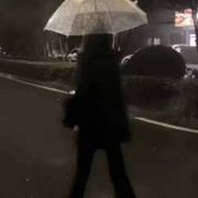 枫