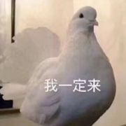 不爱洗澡