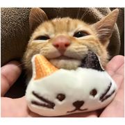 清