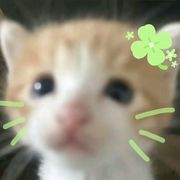 宅