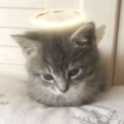 Lil Kevin