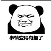 一个菜鸟