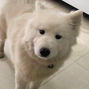 바보같이 굴다ヾ