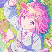 韵枝