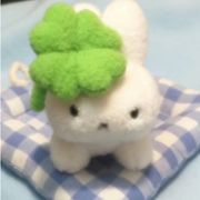 伊可可可可可可可可可可可可可可