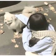 ^_小桉奈💭°💤