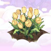 🐔 🐤 🐣 🐥 🙈 🐒