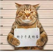 狗子不是狗