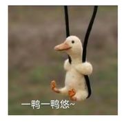 光头锵