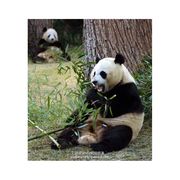 手机用户107782990