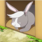 ︶ㄣ清风伴明月