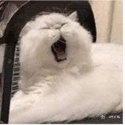 啊啊啊啊啊啊啊