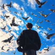 又言风月有时来