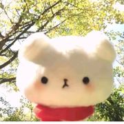 山楂！