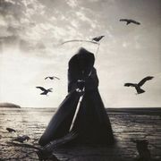 淡漠丶雨季悠离