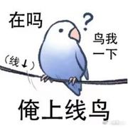 鹬年