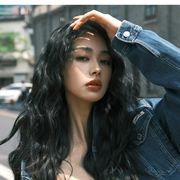房东的猫语