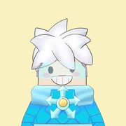 册