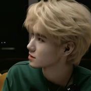 真源不吃鱼