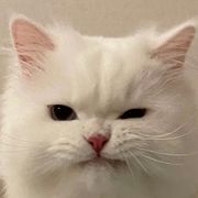 憓