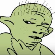 我姓皮很奇怪吗