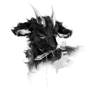 猫豆腐